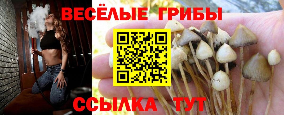 Псилоцибиновые грибы GOLDEN TEACHER Кушва